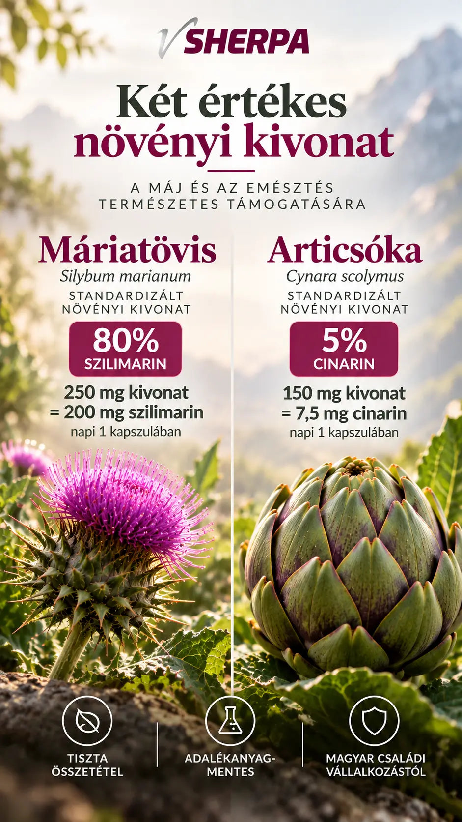 vSherpa Milk Thistle + Artichoke dietary supplement 